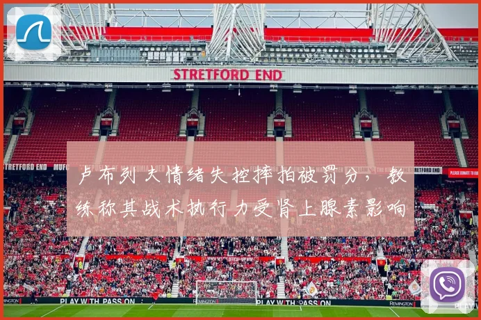 卢布列夫情绪失控摔拍被罚分，教练称其战术执行力受肾上腺素影响崩溃